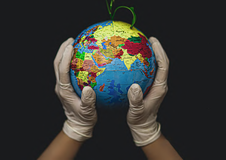 Sustainability model